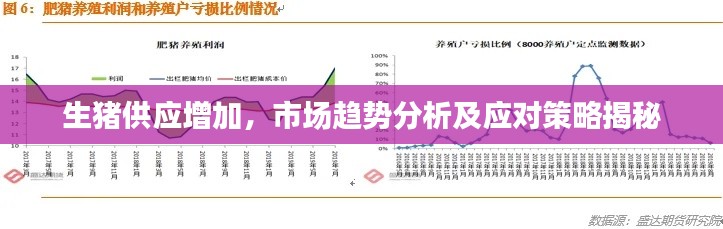 生猪供应增加,市场趋势分析及应对策略揭秘