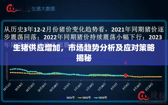 生猪供应增加,市场趋势分析及应对策略揭秘