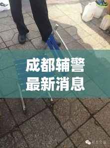 成都辅警最新消息速递，今日动态一网打尽