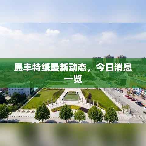 民丰特纸最新动态,今日消息一览