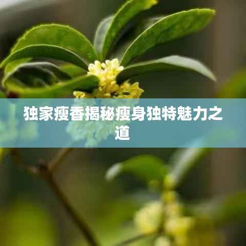 独家瘦香揭秘瘦身独特魅力之道