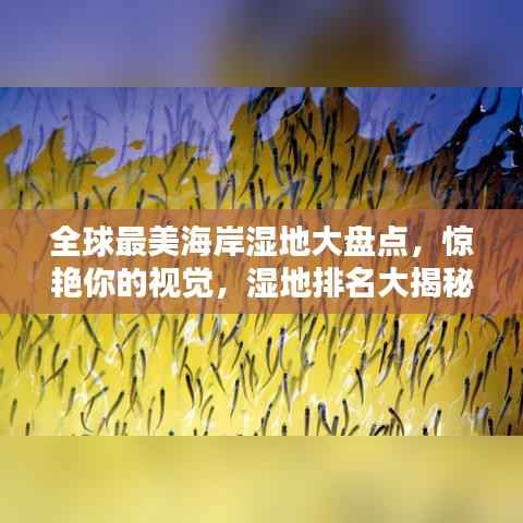 全球最美海岸湿地大盘点,惊艳你的视觉,湿地排名大揭秘!