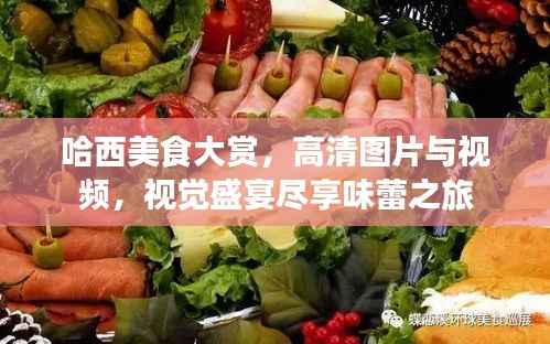哈西美食大赏，高清图片与视频，视觉盛宴尽享味蕾之旅