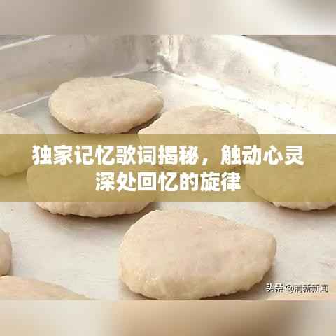 独家记忆歌词揭秘,触动心灵深处回忆的旋律