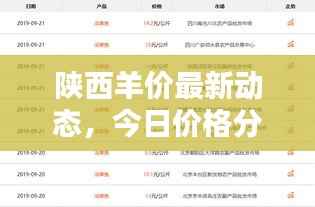 陕西羊价最新动态，今日价格分析与趋势预测