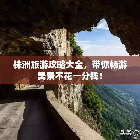 张皇无措 第6页