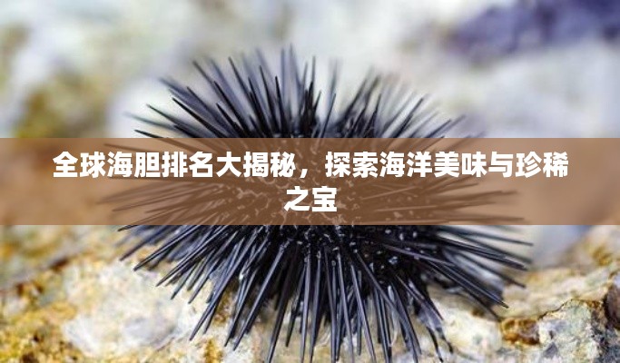 全球海胆排名大揭秘，探索海洋美味与珍稀之宝