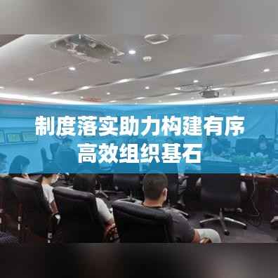 制度落实助力构建有序高效组织基石