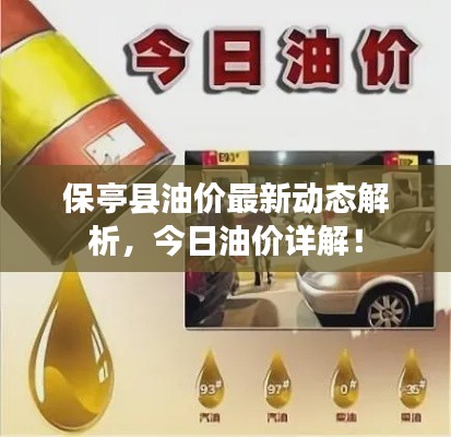 保亭县油价最新动态解析,今日油价详解!