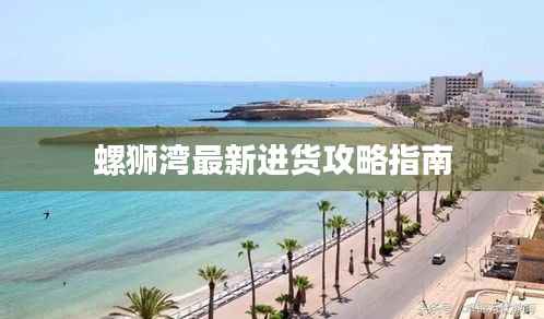 螺狮湾最新进货攻略指南