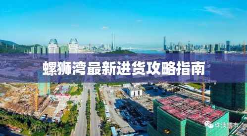 螺狮湾最新进货攻略指南