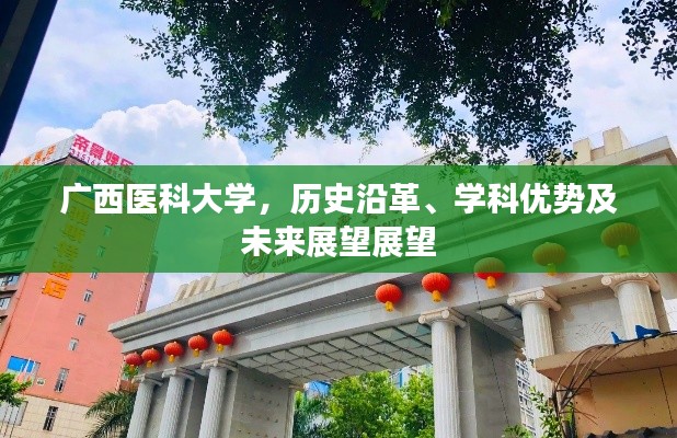 为民请命 第4页