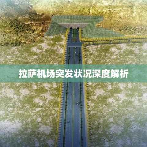 拉萨机场突发状况深度解析