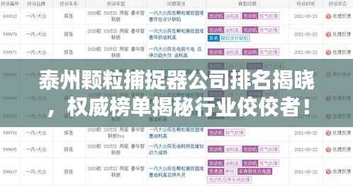 泰州颗粒捕捉器公司排名揭晓,权威榜单揭秘行业佼佼者!