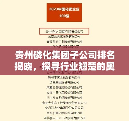 贵州磷化集团子公司排名揭晓,探寻行业翘楚的奥秘