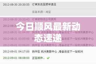 今日顺风最新动态速递