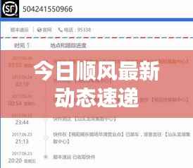 今日顺风最新动态速递