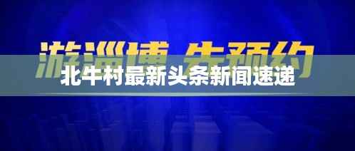 北牛村最新头条新闻速递