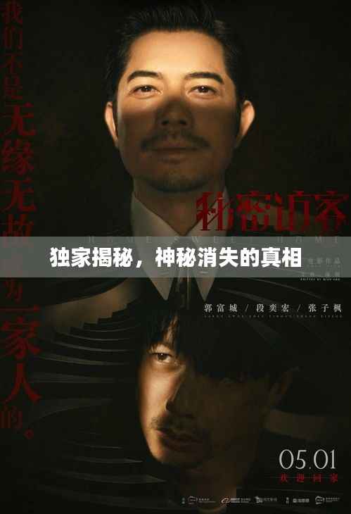 独家揭秘,神秘消失的真相