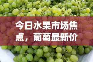 今日水果市场焦点，葡萄最新价格动态解析