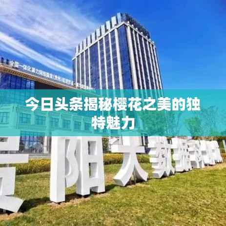 今日头条揭秘樱花之美的独特魅力
