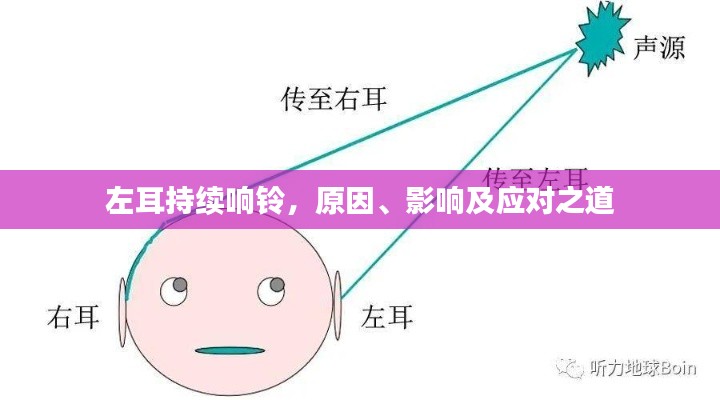 左耳持续响铃,原因、影响及应对之道