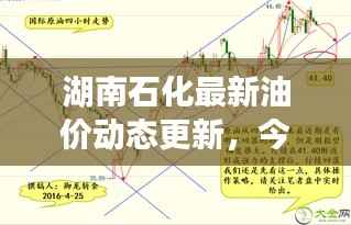 湖南石化最新油价动态更新，今日油价走势分析