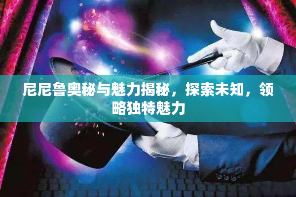 尼尼鲁奥秘与魅力揭秘,探索未知,领略独特魅力