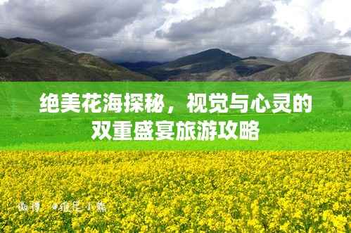 绝美花海探秘，视觉与心灵的双重盛宴旅游攻略
