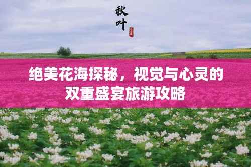 绝美花海探秘,视觉与心灵的双重盛宴旅游攻略