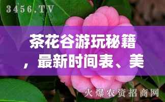 茶花谷游玩秘籍，最新时间表、美图全掌握！