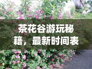 茶花谷游玩秘籍,最新时间表、美图全掌握!