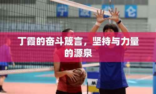 丁霞的奋斗箴言，坚持与力量的源泉