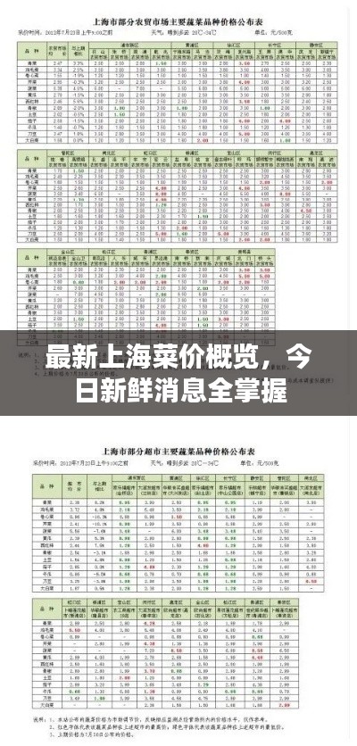 最新上海菜价概览,今日新鲜消息全掌握