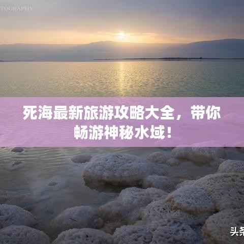 死海最新旅游攻略大全，带你畅游神秘水域！