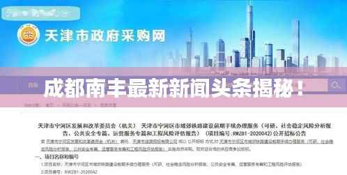 成都南丰最新新闻头条揭秘!