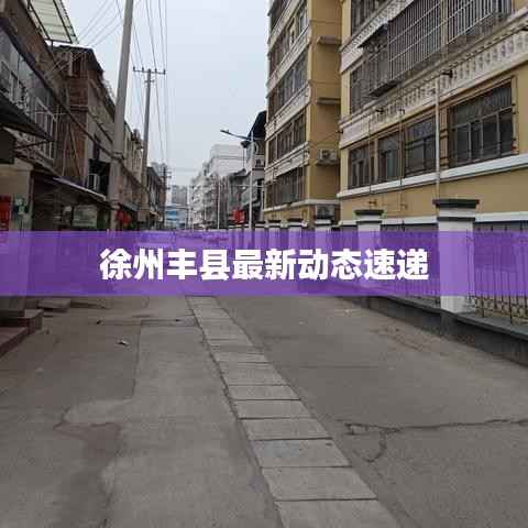 徐州丰县最新动态速递