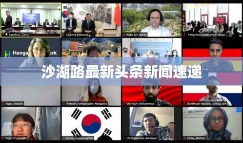 沙湖路最新头条新闻速递