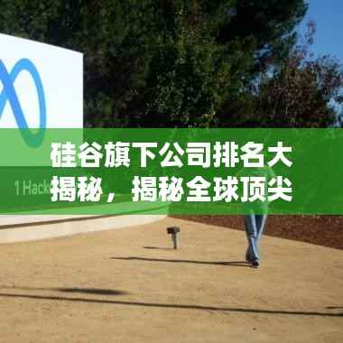 硅谷旗下公司排名大揭秘，揭秘全球顶尖科技巨头榜单！
