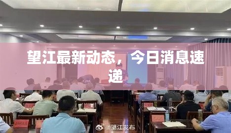 望江最新动态，今日消息速递