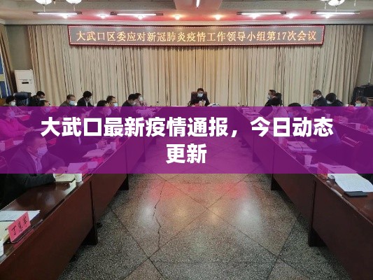 大武口最新疫情通报,今日动态更新