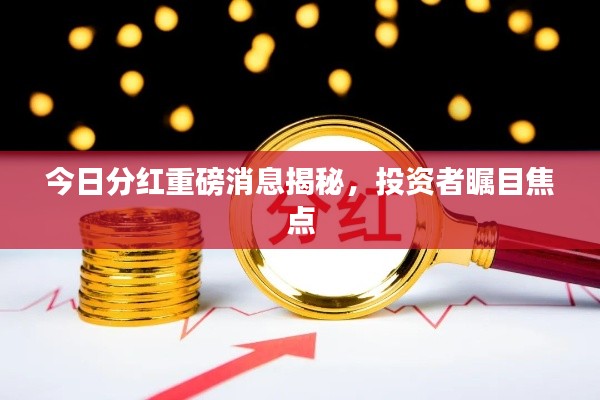 今日分红重磅消息揭秘,投资者瞩目焦点