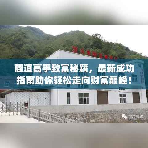 商道高手致富秘籍,最新成功指南助你轻松走向财富巅峰!