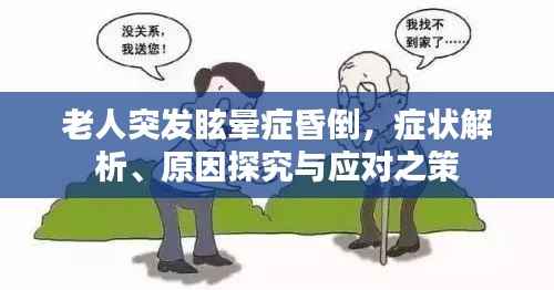 老人突发眩晕症昏倒，症状解析、原因探究与应对之策