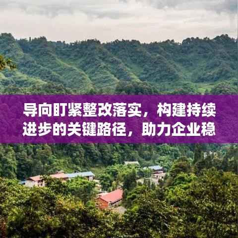 导向盯紧整改落实,构建持续进步的关键路径,助力企业稳步前行