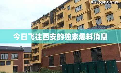今日飞往西安的独家爆料消息
