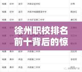 徐州职校排名前十背后的惊人真相,揭露不良教育背后的秘密!