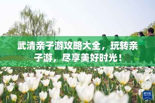 武清亲子游攻略大全，玩转亲子游，尽享美好时光！