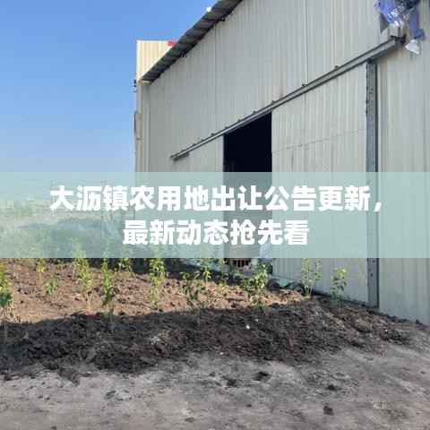 大沥镇农用地出让公告更新，最新动态抢先看