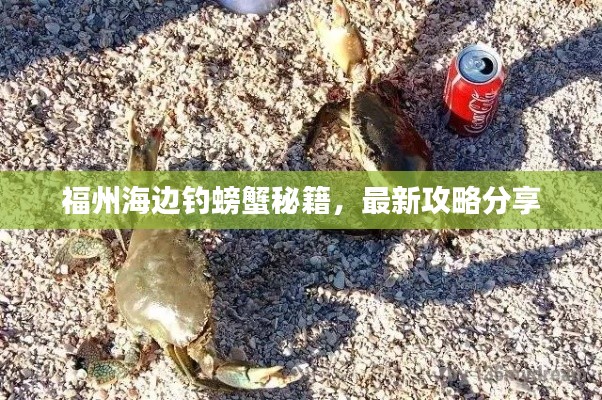 福州海边钓螃蟹秘籍,最新攻略分享